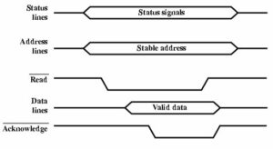 System Bus Read Cycle